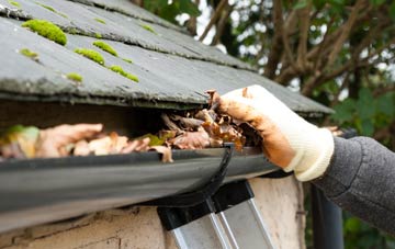 gutter cleaning Fleet Hargate, Lincolnshire