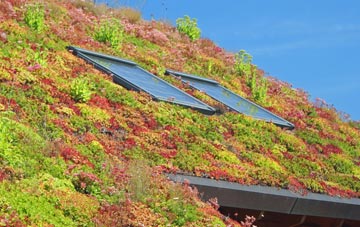 Fleet Hargate living roof systems