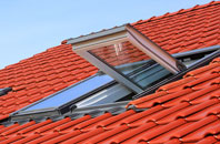 Fleet Hargate roof window